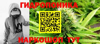 гидра Боровичи