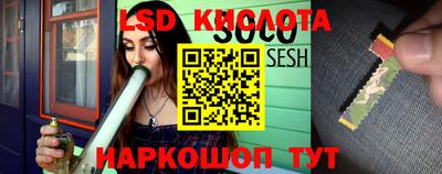 стаф Брянск