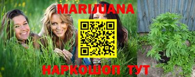 стаф Брянск