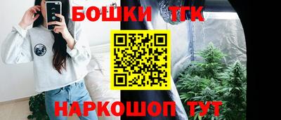 стаф Брянск