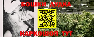 гидра Боровичи