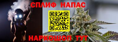 гидра Боровичи