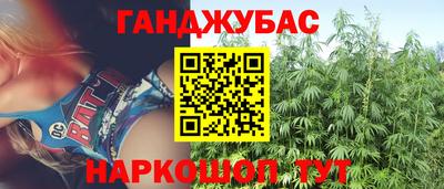 гидра Боровичи