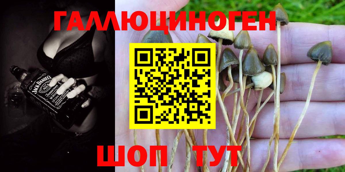 даркнет сайт  Галлюциногенные грибы мицелий  Вход с VPN  Мелеуз 