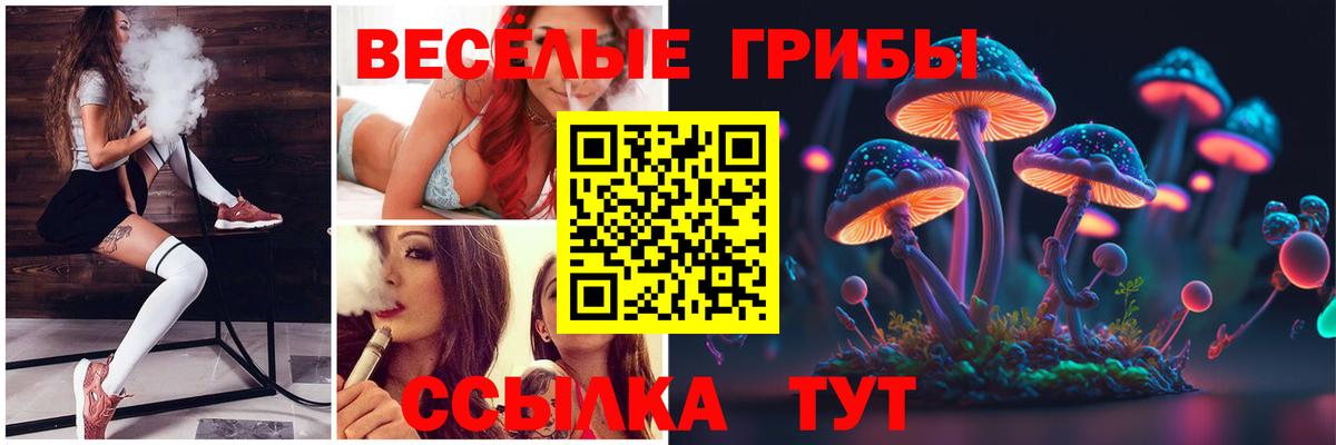 Галлюциногенные грибы прущие грибы Мелеуз